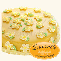 Sampaguita_sm